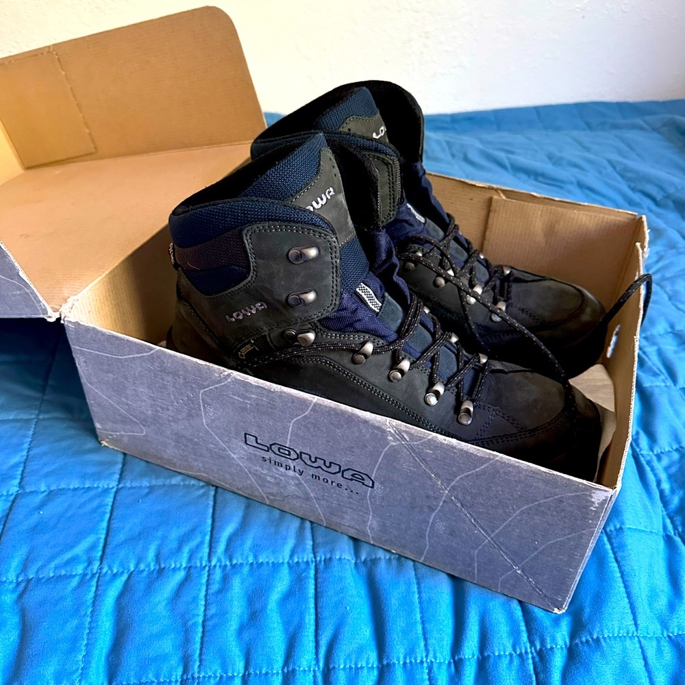 Mens Lowa Renegade GTX Mid hiking boots